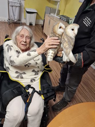 A woman reaching over to stroke two owls, being held by a handler.