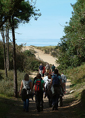 Decorative Image of Ainsdale Nature Reserve